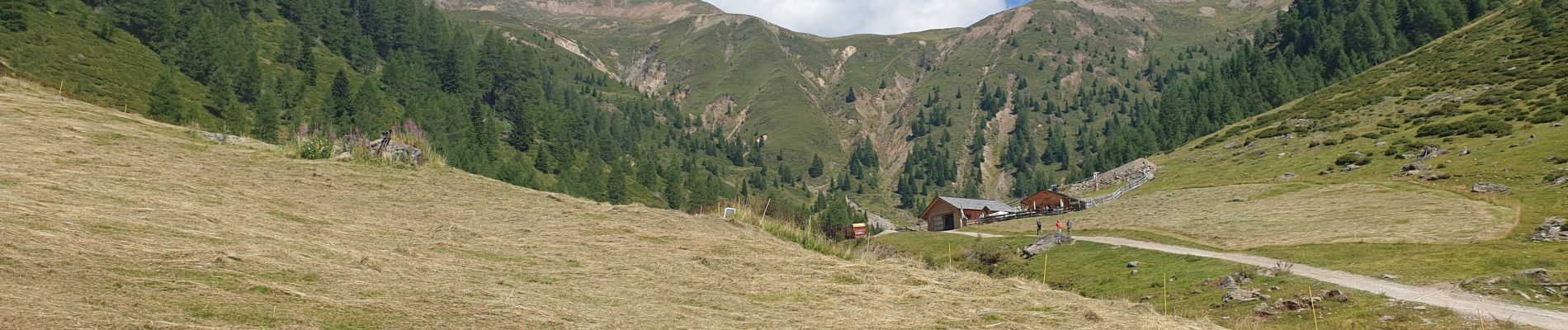 Trail Walking Toblach - Dobbiaco - Silverstertal - Valle San Silvestro - Photo