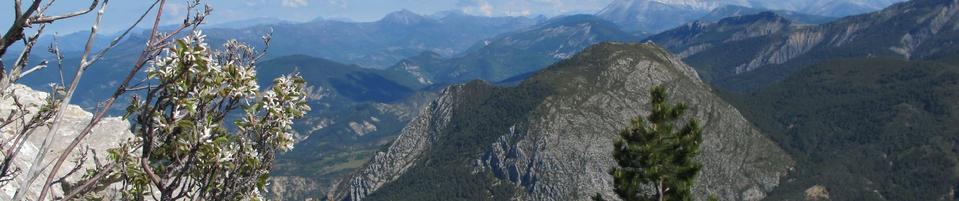 Tocht Stappen Castellane - cadieres de brandis - Photo