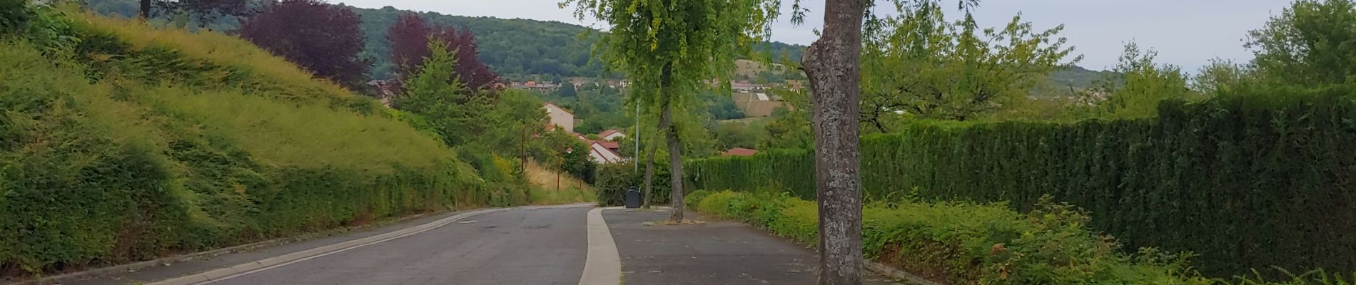 Percorso Bici da strada Saulny - feves - Photo