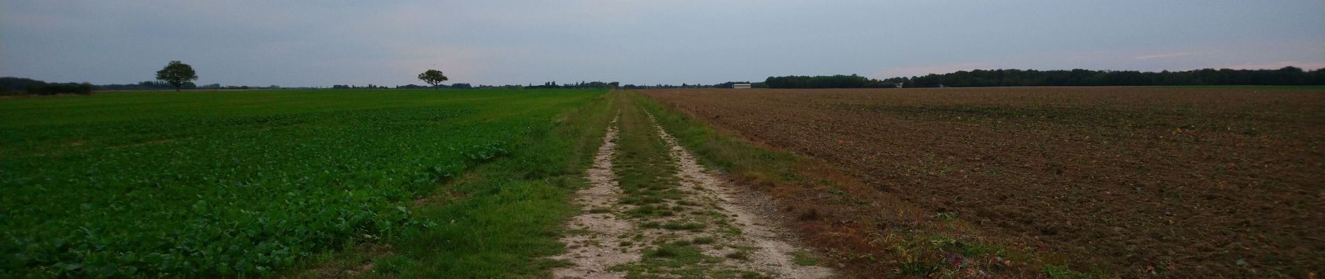 Tour Wandern Saint-Branchs - Saint-Branchs - les Boissières Chemin du Rail - 8.3km 35m 1h45 - 2023 09 27 - Photo