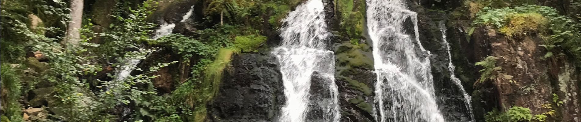 Randonnée Marche Le Tholy - La grande cascade du Tendon au départ du Grand Caillou. - Photo