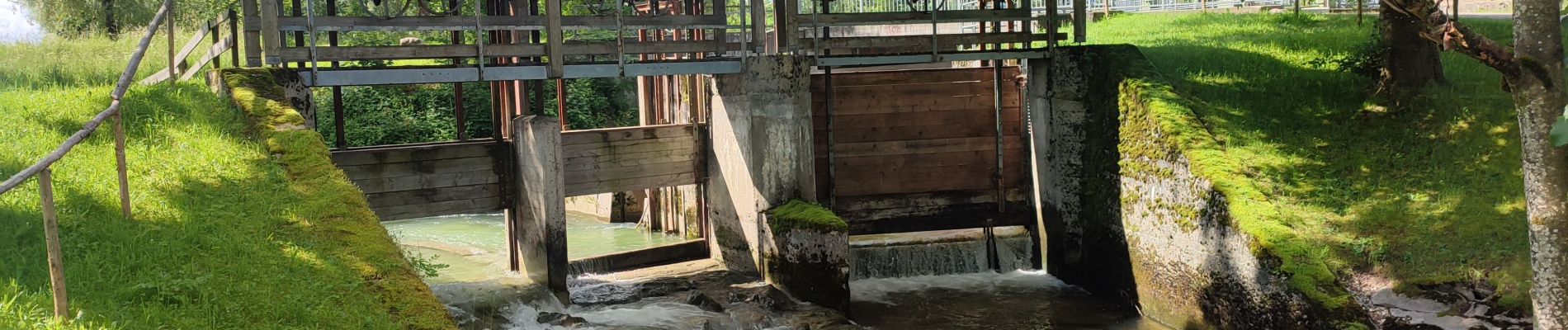 Tocht Elektrische fiets Leutkirch im Allgäu - Centerparcs Allgäu - Kisslegg - Photo