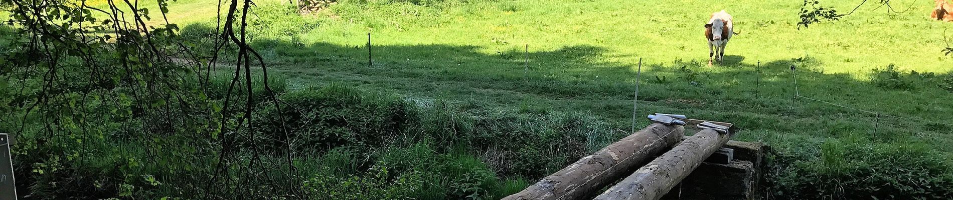 Randonnée A pied Üdersdorf - HeimatSpur Wasser- und Felsenweg - Photo