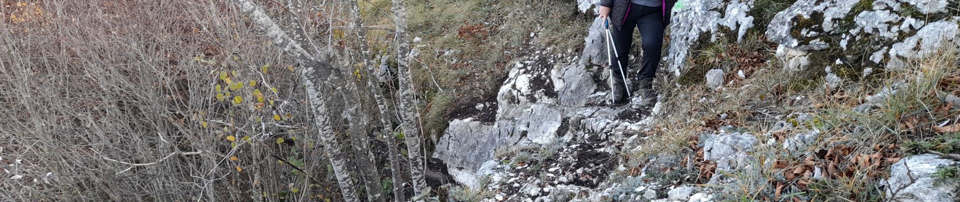 Randonnée Marche Entrelacs - CHAMBOTTE : SENTIER DU BOGNON - retour par le haut des falaises - Photo