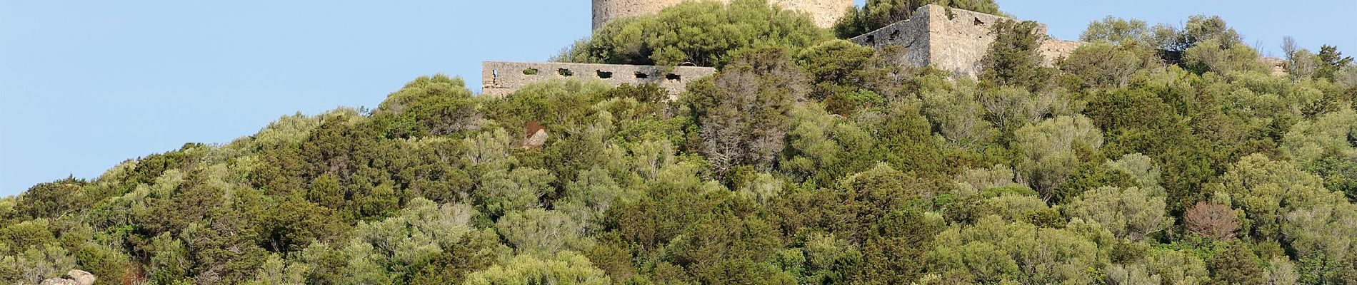 Tour Zu Fuß Belvédère-Campomoro - Boucle de Manna Mulina - Photo