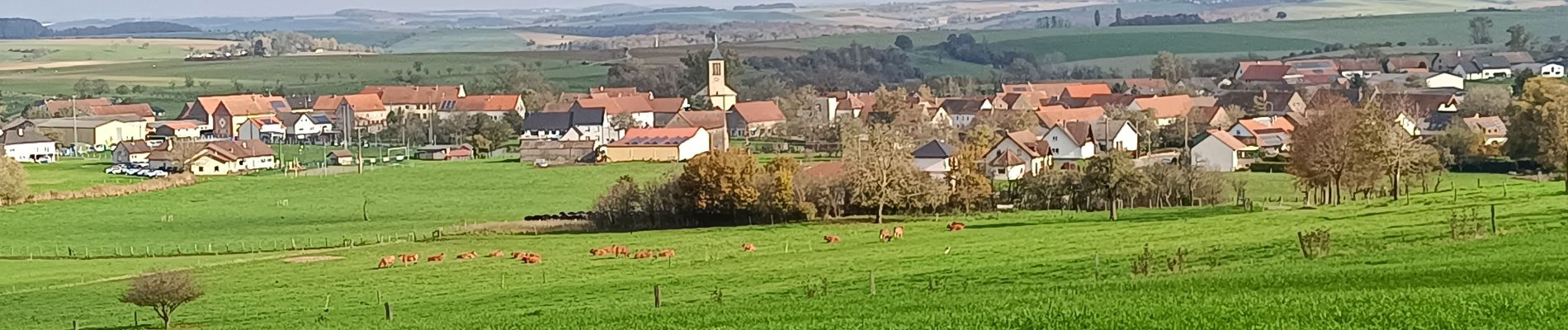 Tour Wandern Wollmünster - sentier chapelle St Joseph  - Photo