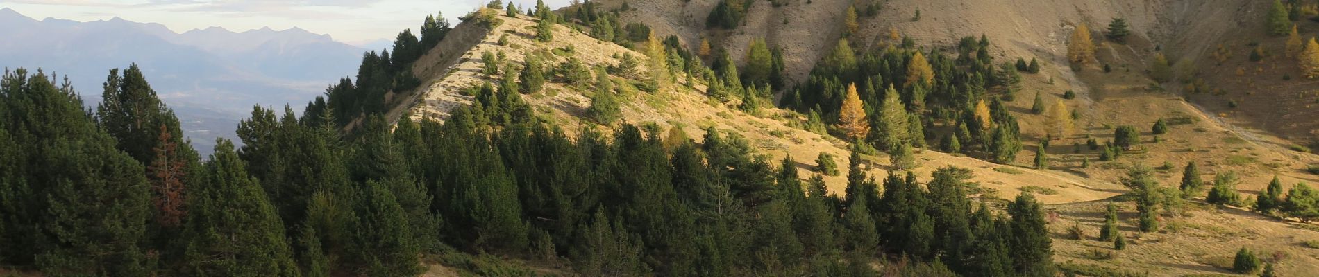 Tour Wandern Le Dévoluy - Autour du col la Saume - Photo