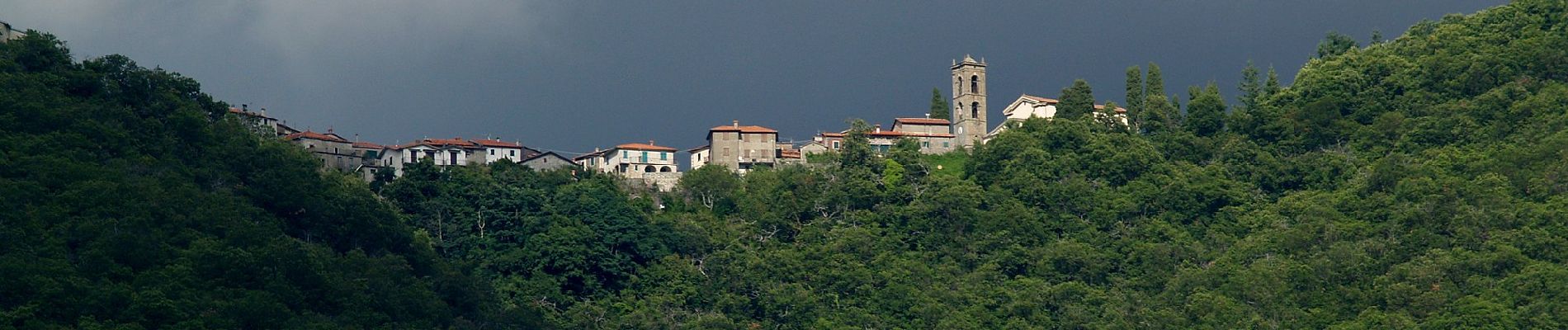 Trail On foot Fivizzano - IT-192 - Photo