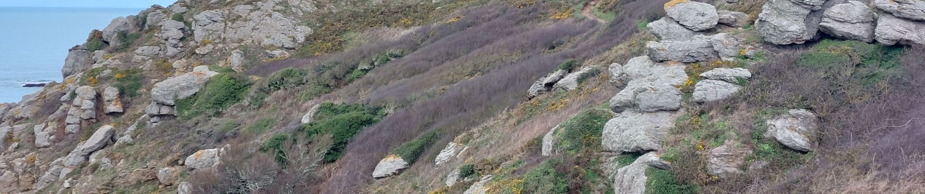 Tour Wandern Cancale - GR_34_AD_04_Cancale_St-Coulomb_20230321 - Photo