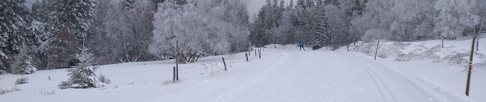 Randonnée Ski de fond Le Valtin - schlucht 07 03 - Photo