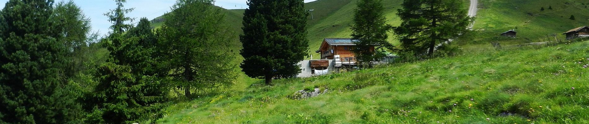 Tour Zu Fuß San Giovanni di Fassa - IT-E613 - Photo