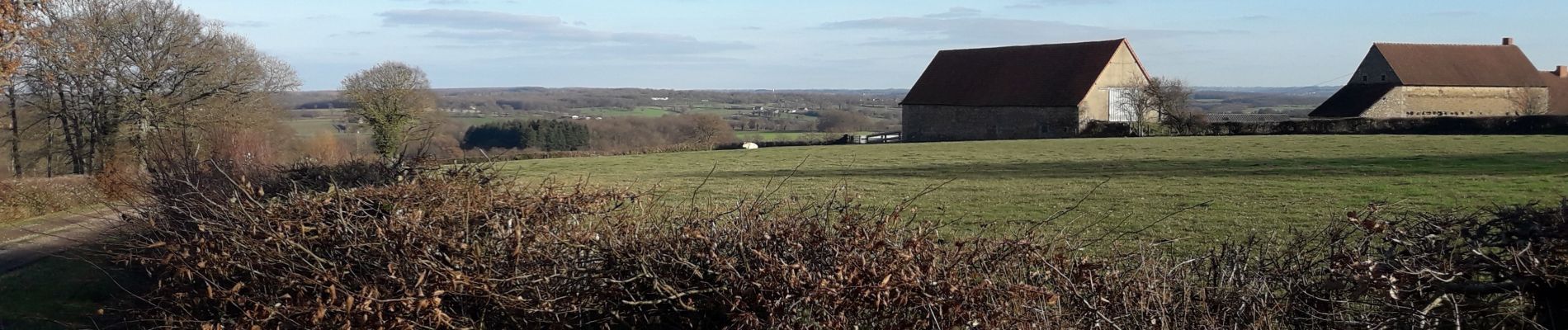 Tocht Hybride fiets Pouligny-Notre-Dame - autour des Dryades  - Photo