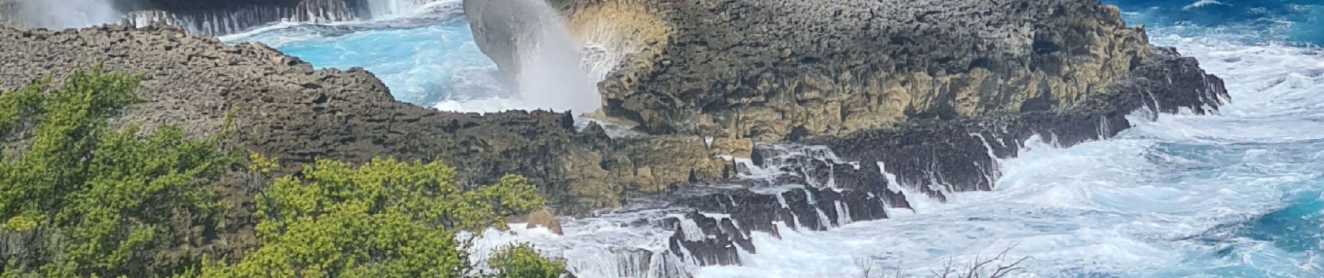 Randonnée Marche Anse-Bertrand - Trou du souffleur  - Photo