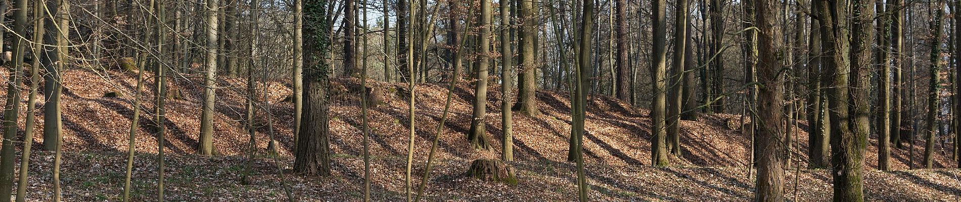 Trail On foot Kronach - Glosberger Weg KC 14 - Photo