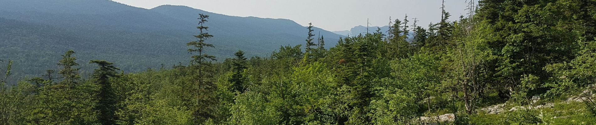 Randonnée Marche Corrençon-en-Vercors - Boucle Les Ravières - Photo