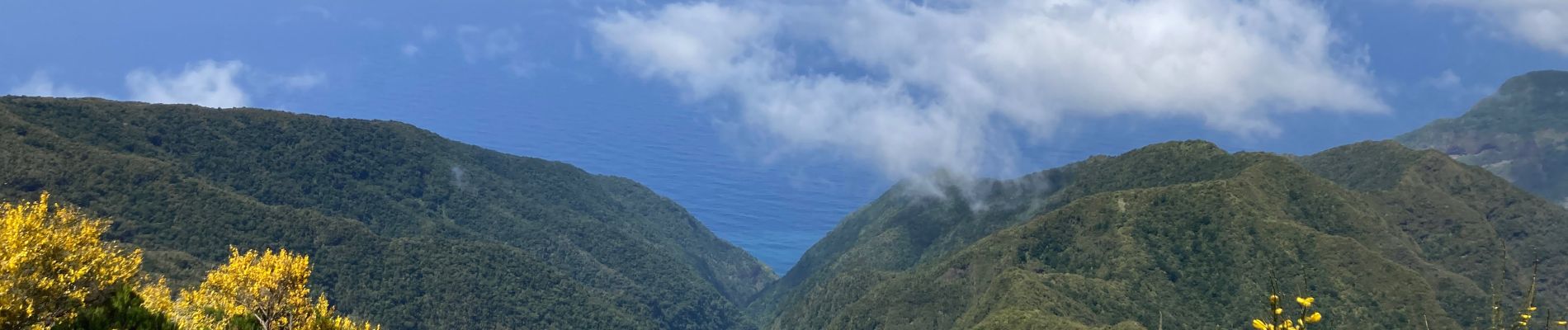 Tocht Stappen Serra de Água - Ribeiro brava - Photo