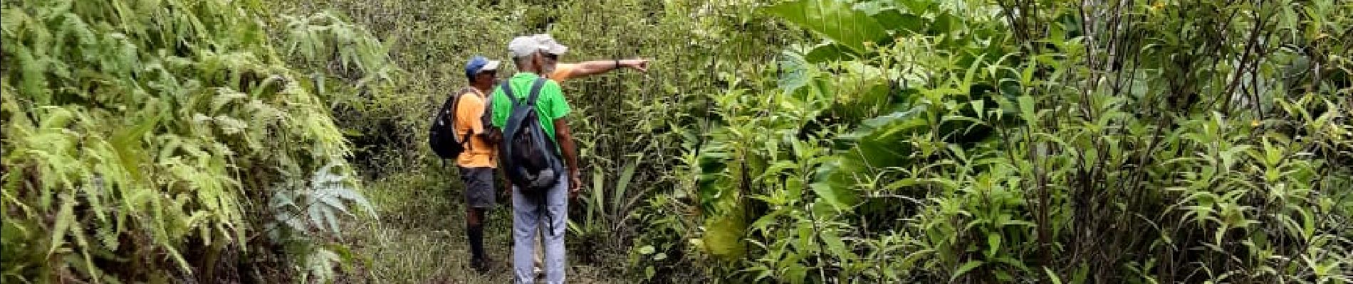 Excursión Senderismo Sainte-Rose - contrebandiers belle isle - Photo