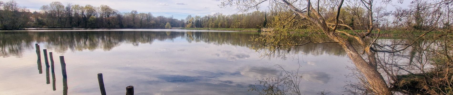 Randonnée Marche Bussy-Saint-Georges - Boucle Rentilly - Noisiel - Etang de la Brosse - Etang de la Loy - Photo