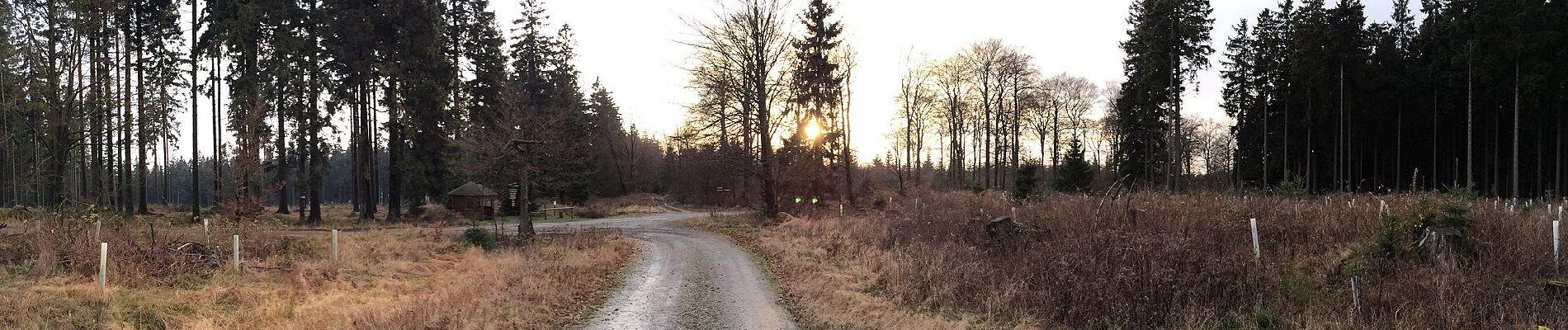 Trail On foot Netphen - Schulweg Rundweg A6 - Über die Eisenstraße - Photo