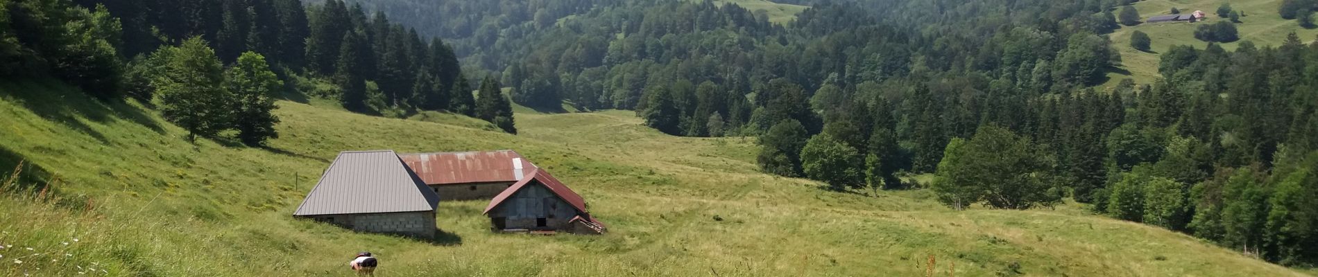 Tour Wandern Montcel - BAUGES: TOUR DE LA FORET DOMANIALE DU GRAND REVARD - Photo