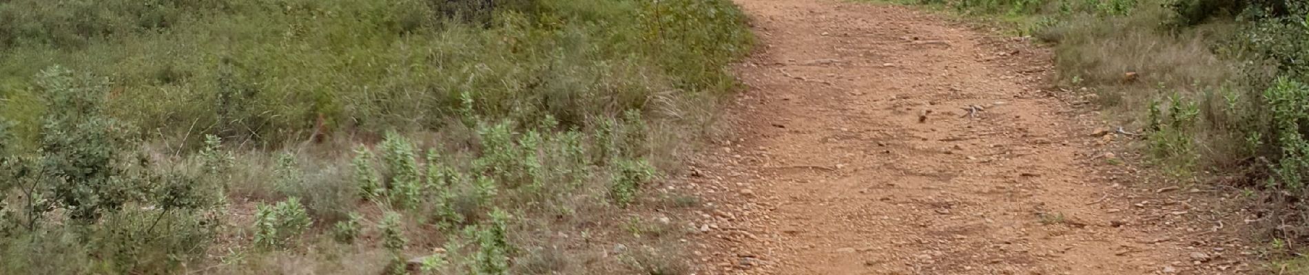 Tocht Stappen Aix-en-Provence - bibemus.alain.nicoline - Photo