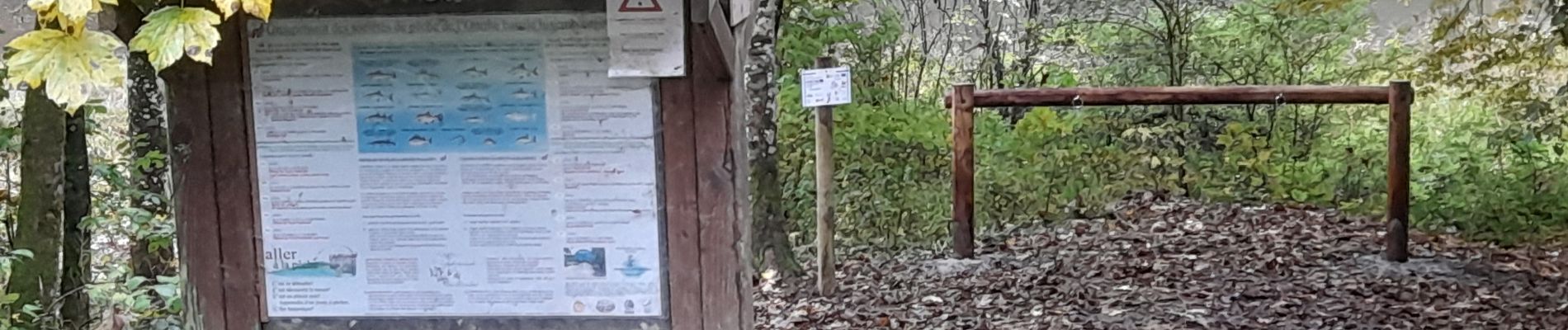 Point d'intérêt La Roche-en-Ardenne - Halte équestre - Photo