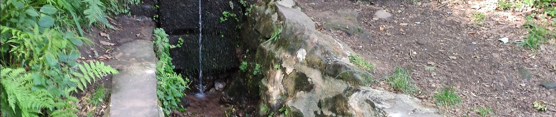 Point d'intérêt Lutzelbourg - Fontaine Mélusine  - Photo