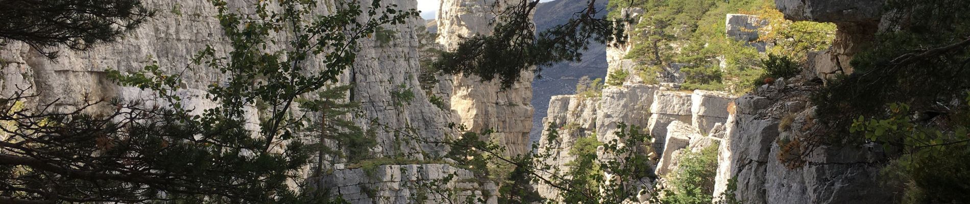 Tocht Stappen Castellane - Cadières de Brandis - Photo