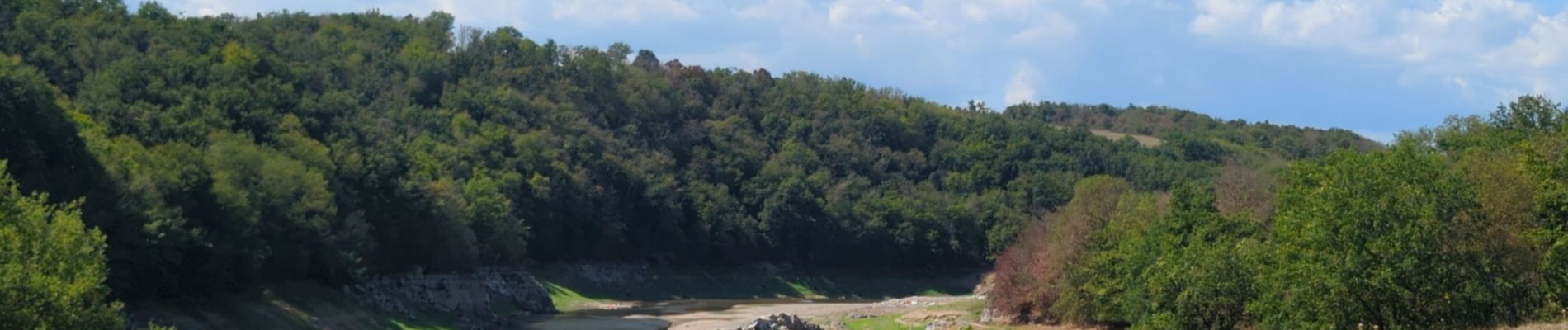 Tour Wandern Vézelin-sur-Loire - St Paul de Vezelin  - Photo