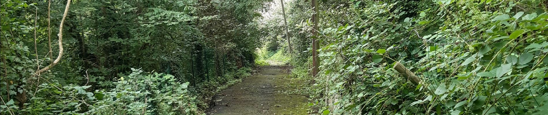 Randonnée Marche Esneux - pré de tilff . bois du manant.  bois des chevreuils  . pré  de tilff - Photo