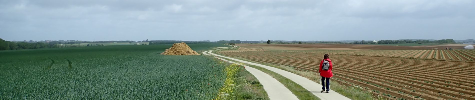 Punto de interés Genappe - Vue nord dans le Chemin de la Longresse Haye - Photo