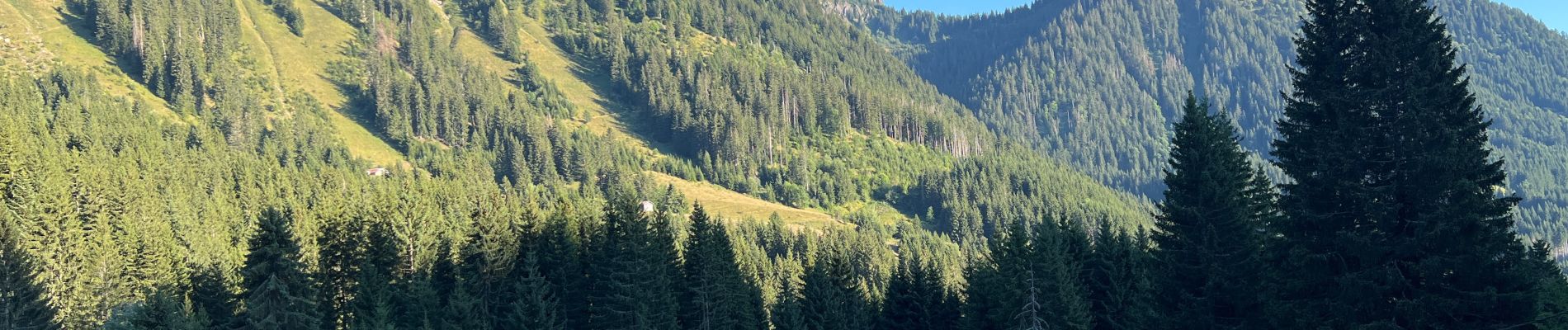 Percorso Marcia Saint-Jean-d'Aulps - Les Mellis, La chaux , le col de l’écuelle , le pré nouveau  - Photo