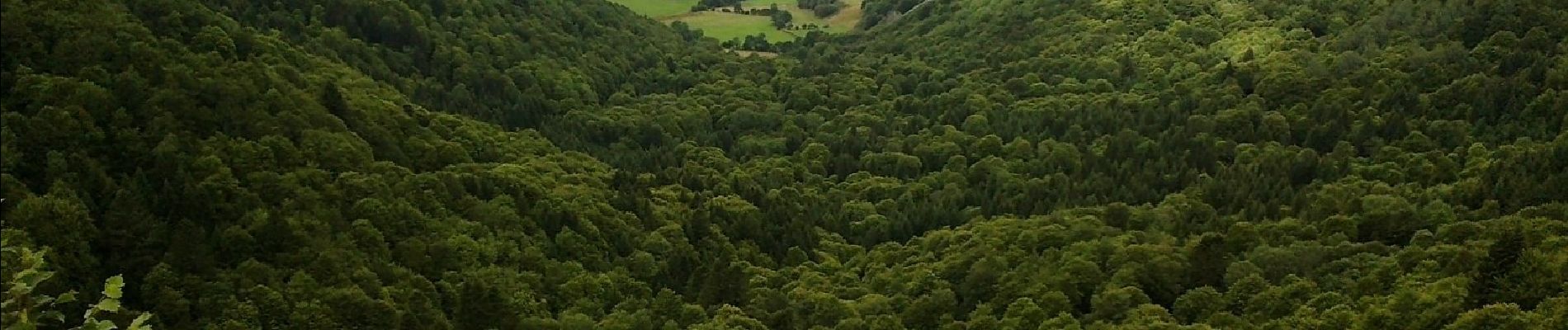 Randonnée A pied Orcival - Roches Tuilière et Sanadoire - Photo