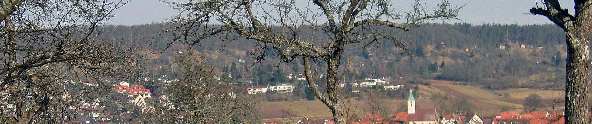 Percorso A piedi Magstadt - Rundwanderweg 1 - Photo