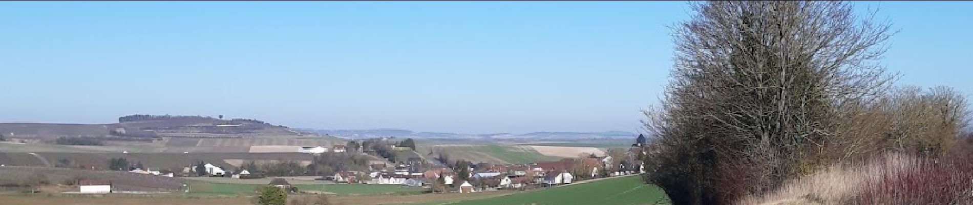 Tocht Stappen Barbonne-Fayel - dans le vignoble Champenois autour de BARBONNE-FAYEL - Photo