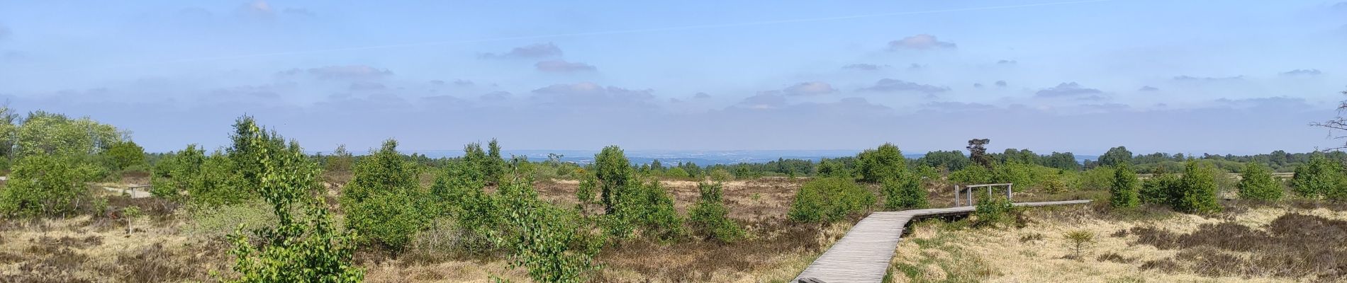 Tocht Te voet Spa - Domaine de Bérinzenne et arboterum de Tahanfagne - Photo