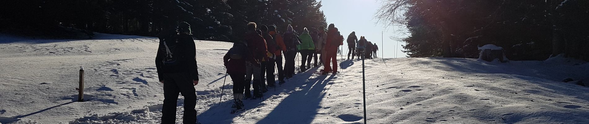 Trail Walking Divonne-les-Bains - A Jura - lundi 20/01/2020 - rando de l'après-midi - les Copettes - Photo