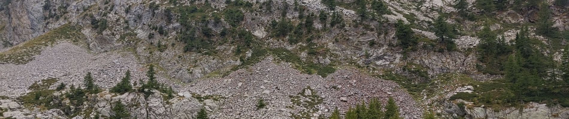 Trail Walking Saint-Martin-Vésubie - lac de Trecolpas - Photo