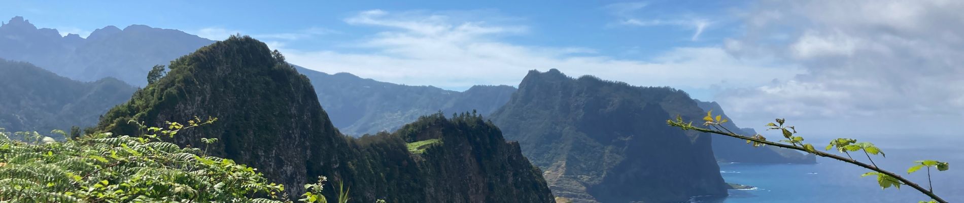 Tour Wandern Caniçal - Machado avec transfert de bus au milieu - Photo