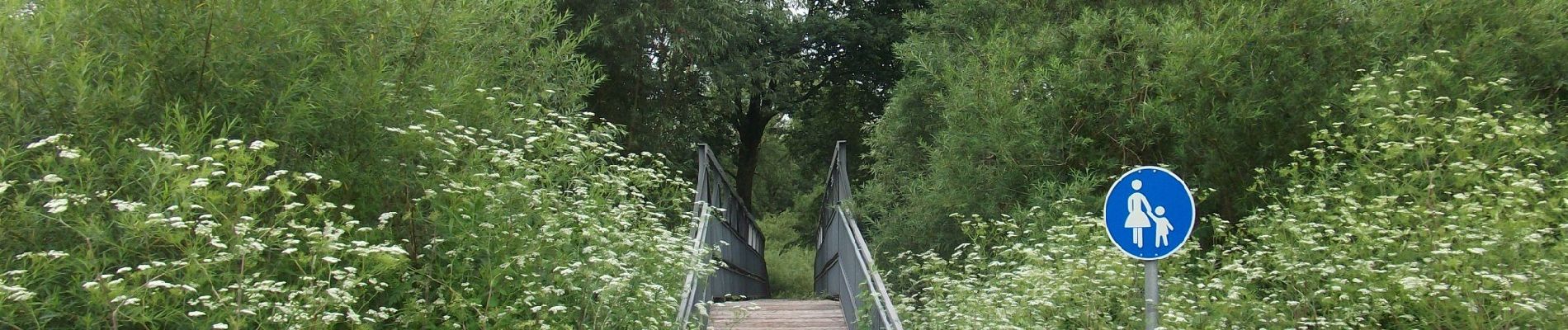 Trail On foot Schönberg - Nessenbach-Runde - Photo