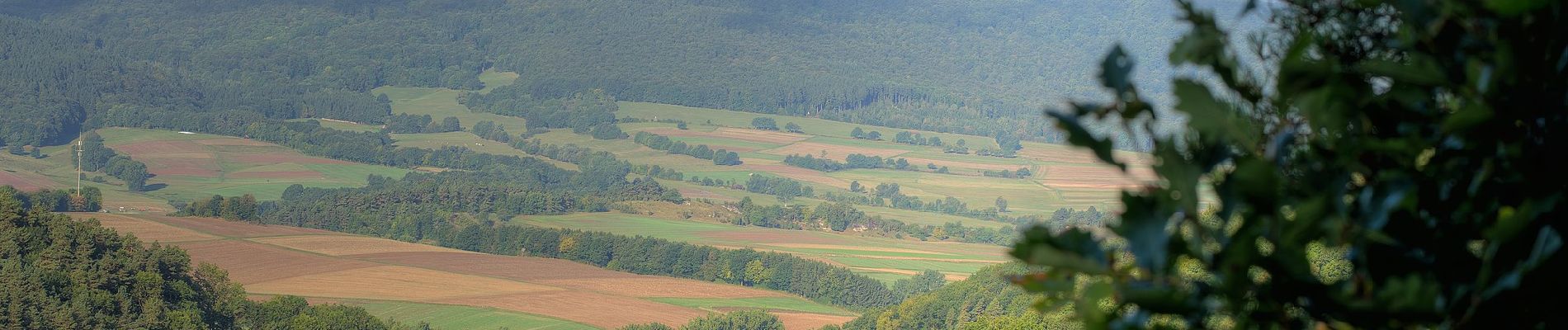 Percorso A piedi Meißner - Kupferbachtal und Wellingeröder Höhe - Photo