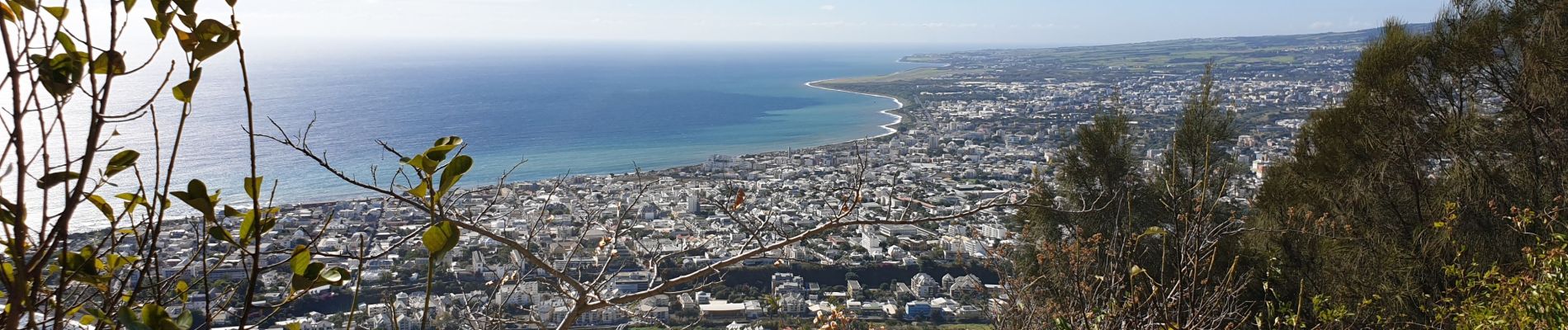 Trail Walking Saint-Denis - sentier Marmaille St Denis La Vigie - Photo