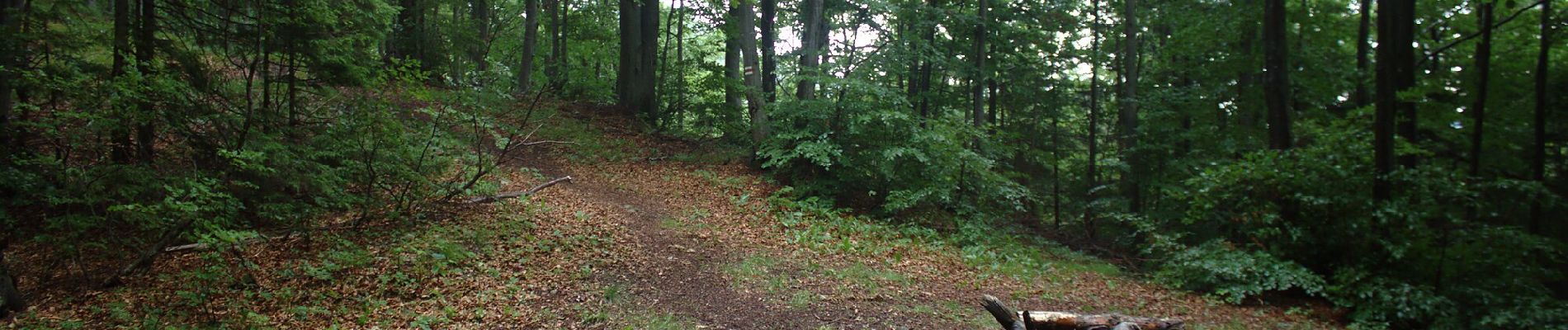 Excursión A pie okres Banská Bystrica - Náučný chodník - J. D. Matejovie - Photo