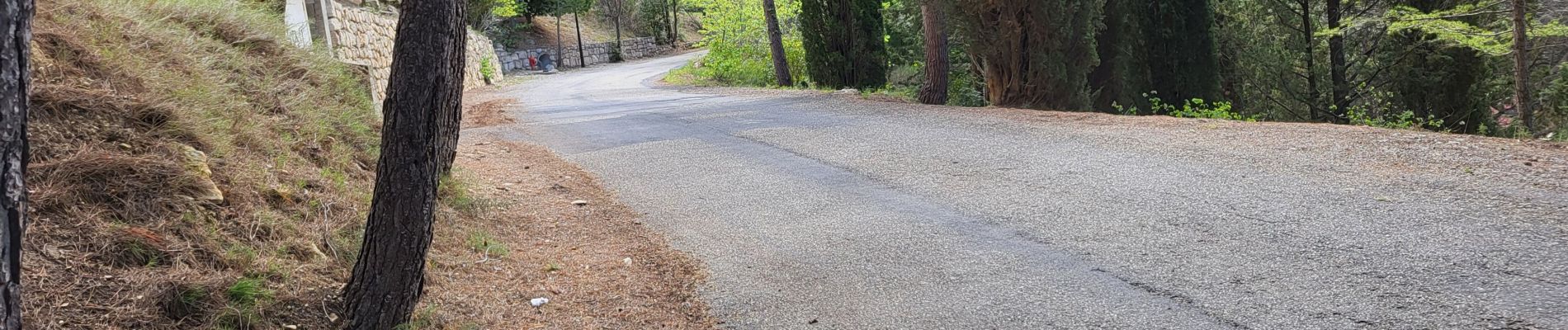 Randonnée Marche Portel-des-Corbières - TerraVinea-3 - Photo