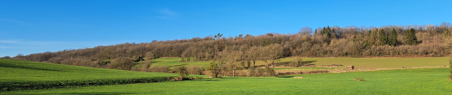 Excursión Senderismo Ferrières - Marche ADEPS Vieuxville - Photo