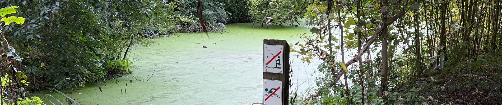 Trail Walking Tubize - De Tubize à Braine le château et Leembeek - Photo