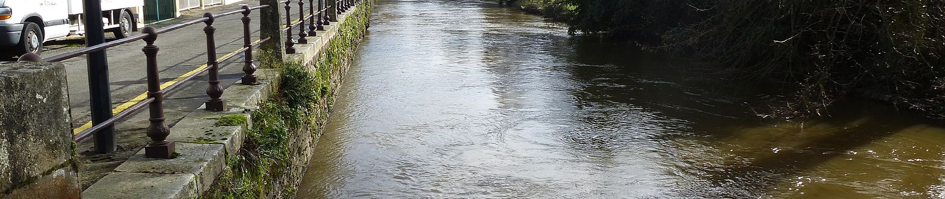 Tocht Te voet Montfort-sur-Meu - La porte de Brocéliande - Photo