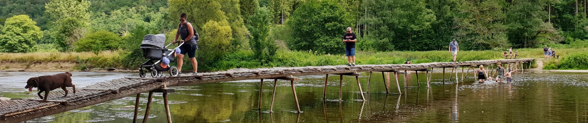 Trail Walking Vresse-sur-Semois - Balade à Chairière - Vresse sur Semois - Photo