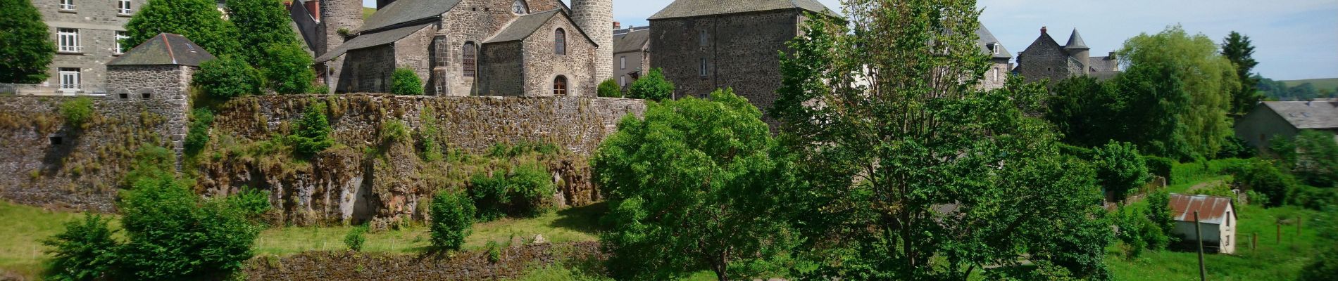 Tocht Stappen Allanche - Allanche - Maillargues Puy de Mathonière - 12.8km 320m 4h00 - 2019 06 25 - Photo