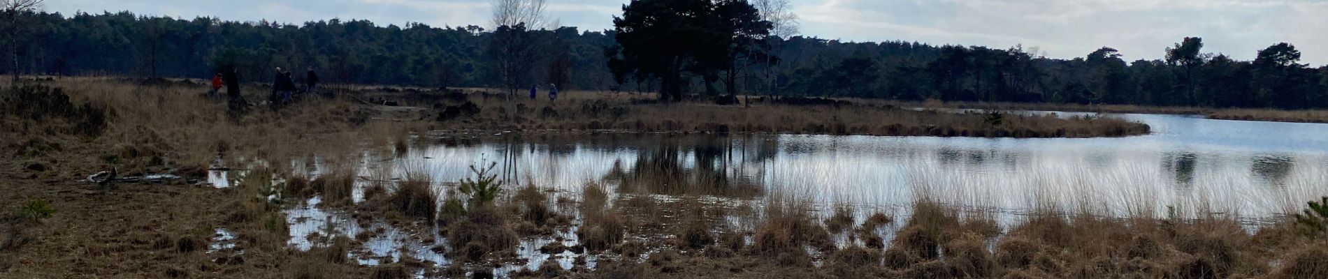 Tocht Stappen Kalmthout - Kalmthout bis 20 km - Photo